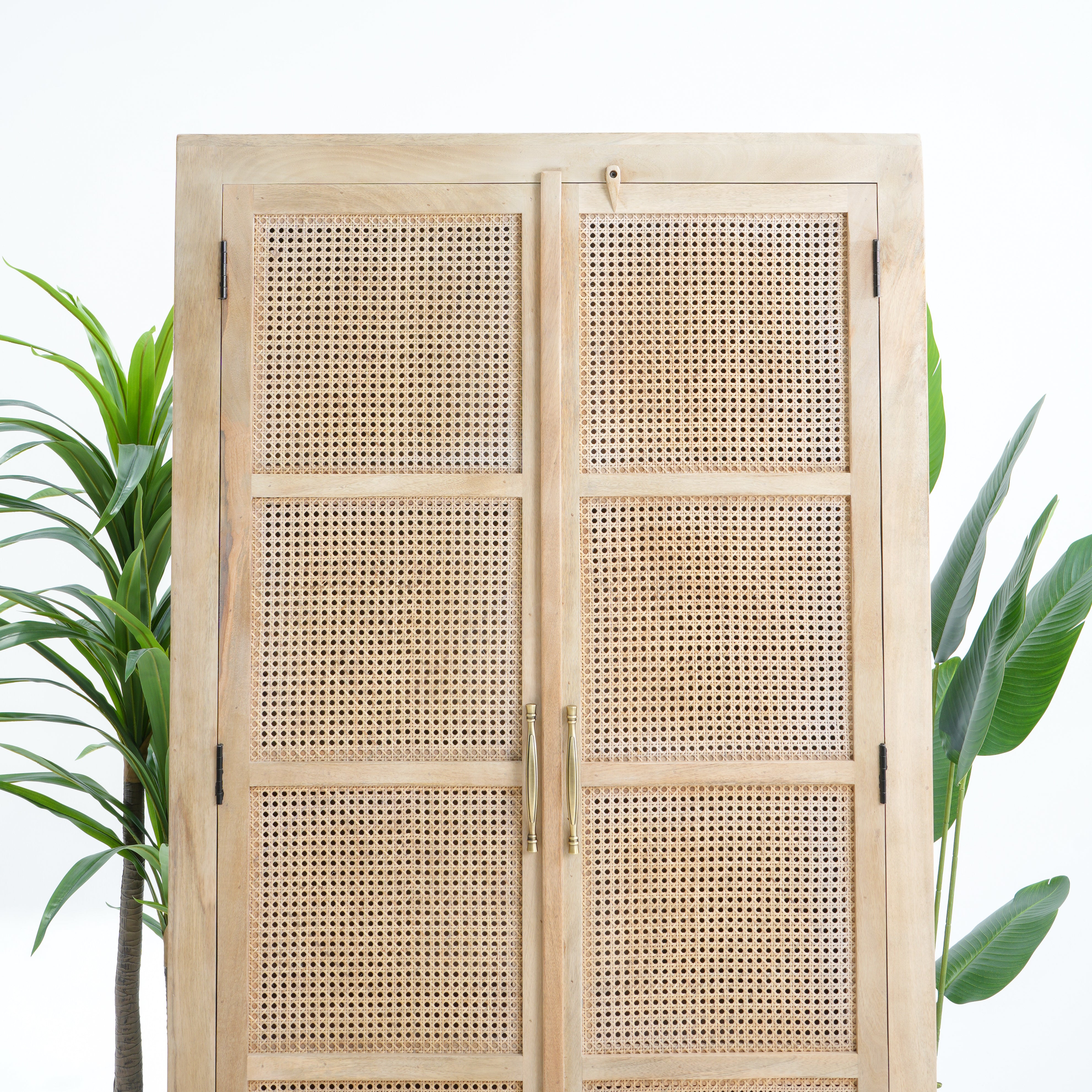 Eden Elite Two Door-Drawer Cane Cabinet