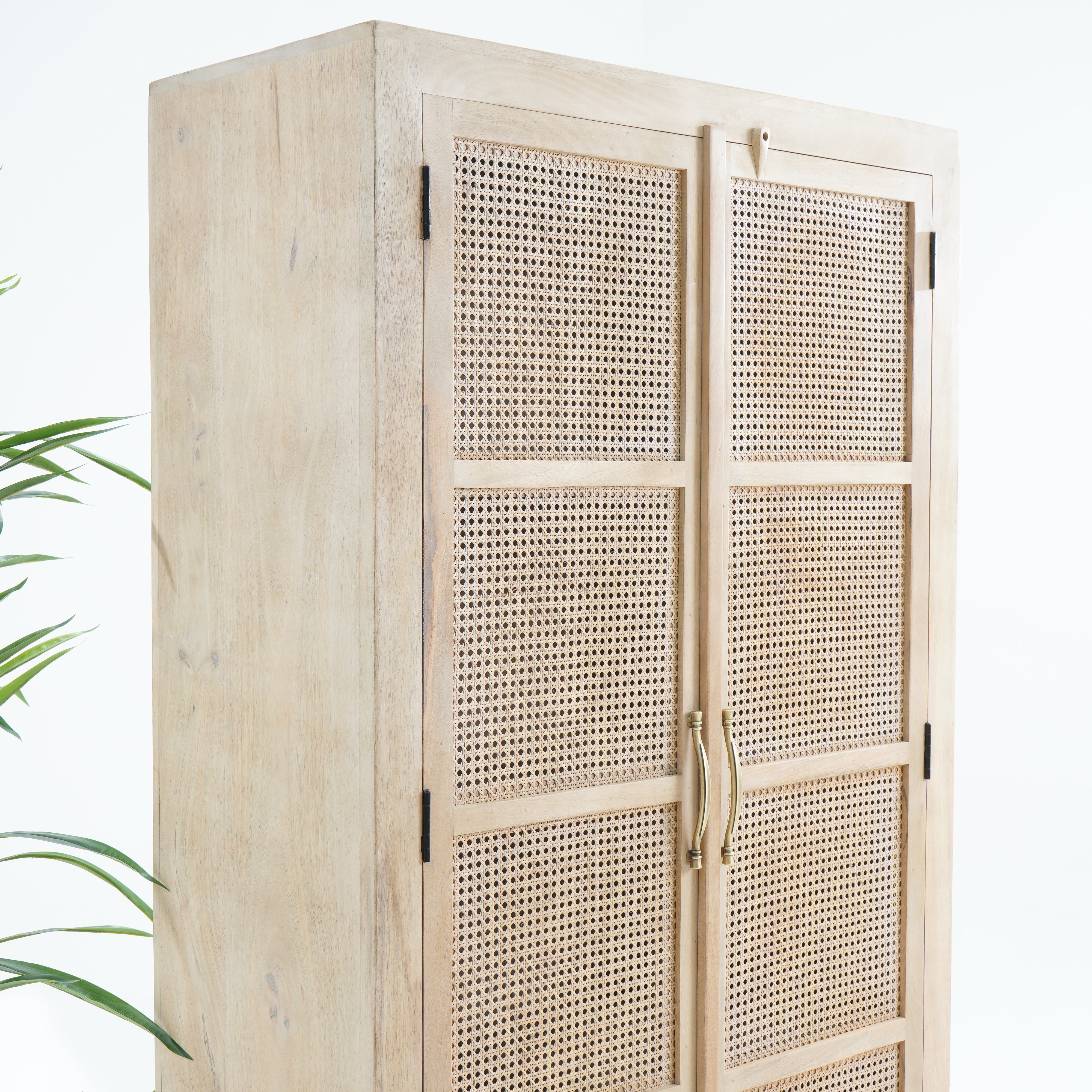 Eden Elite Two Door-Drawer Cane Cabinet