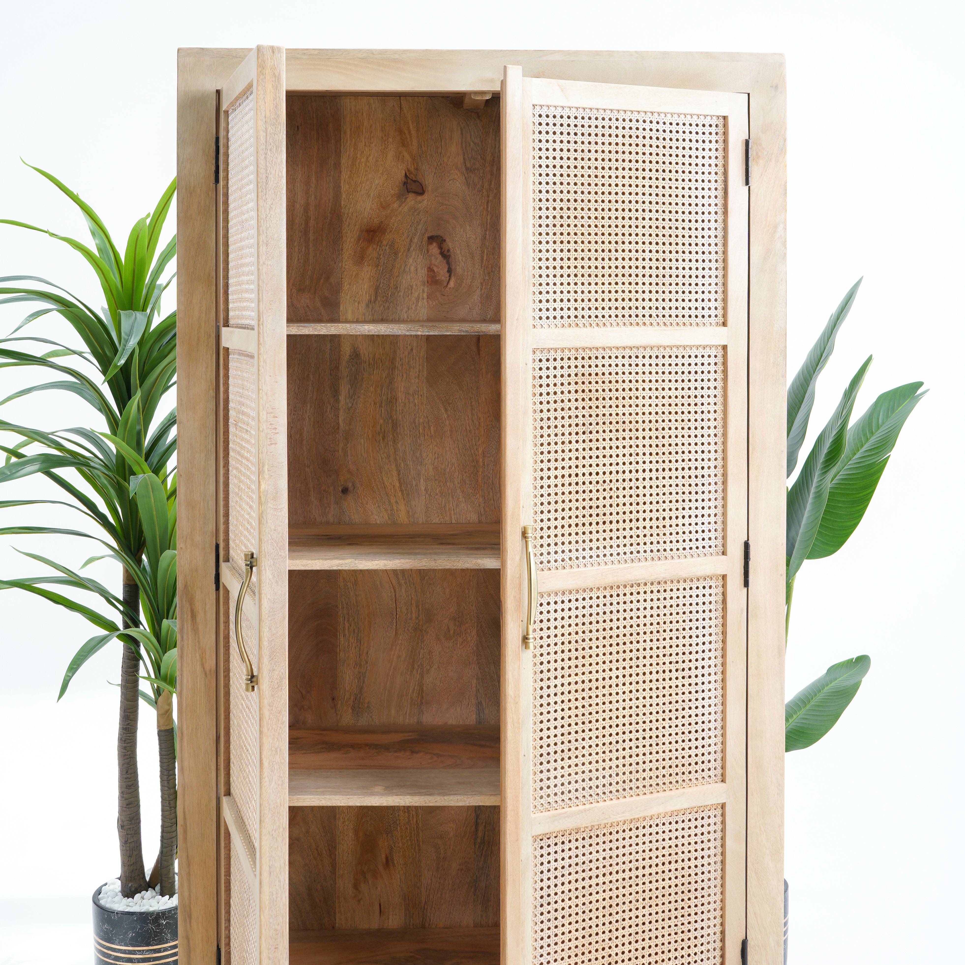 Eden Elite Two Door-Drawer Cane Cabinet