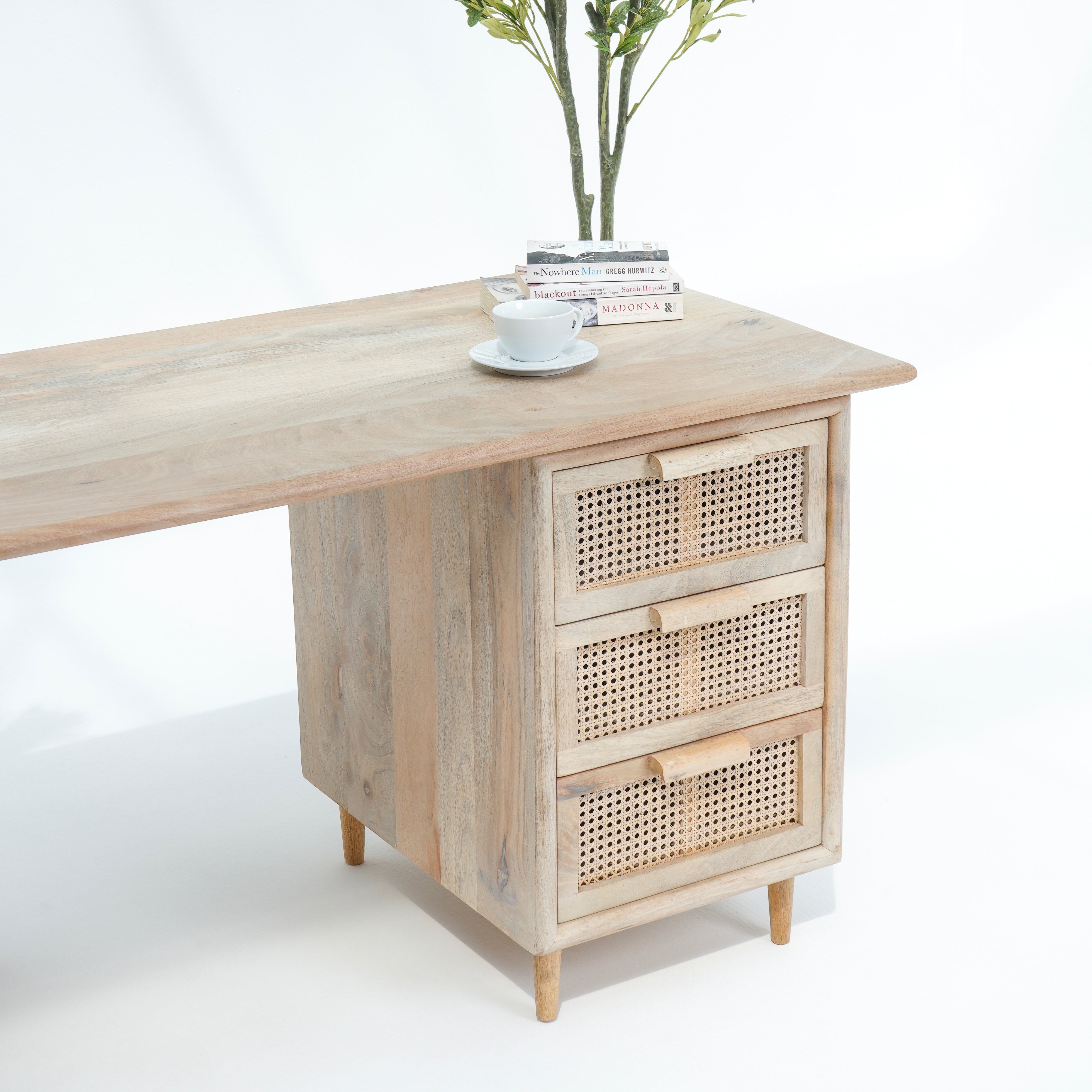 Visionary Cane Study Desk