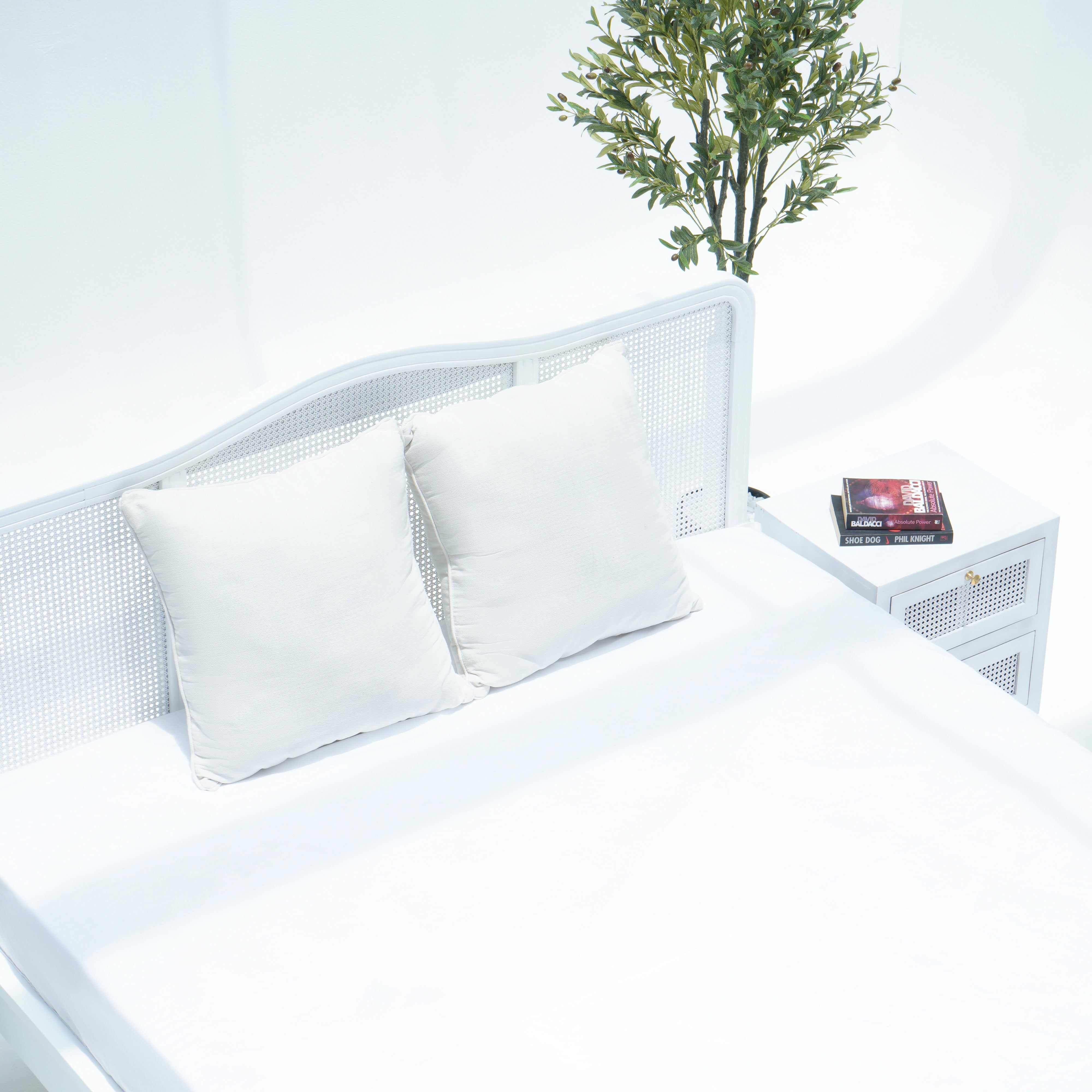 WDN RATTAN WHITE COLOR BED