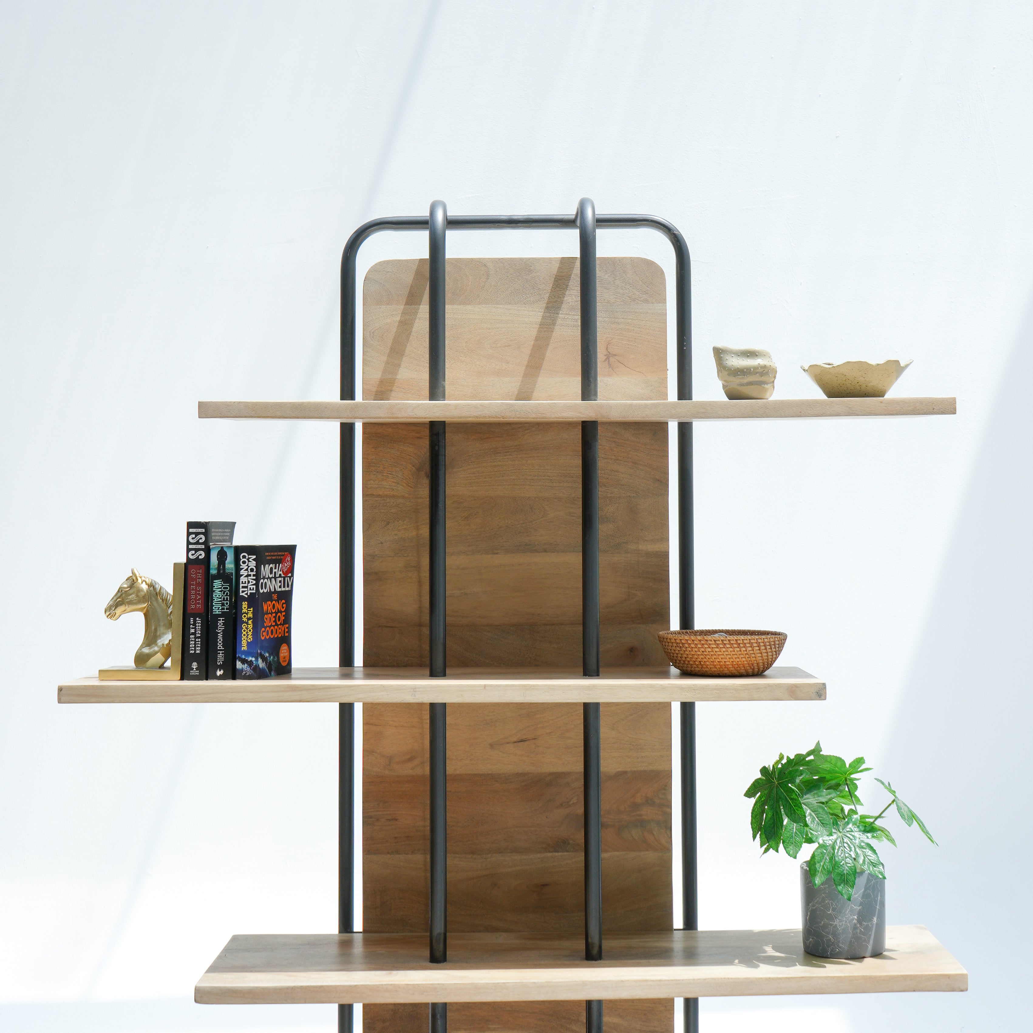Vienna Wonders Bookshelf