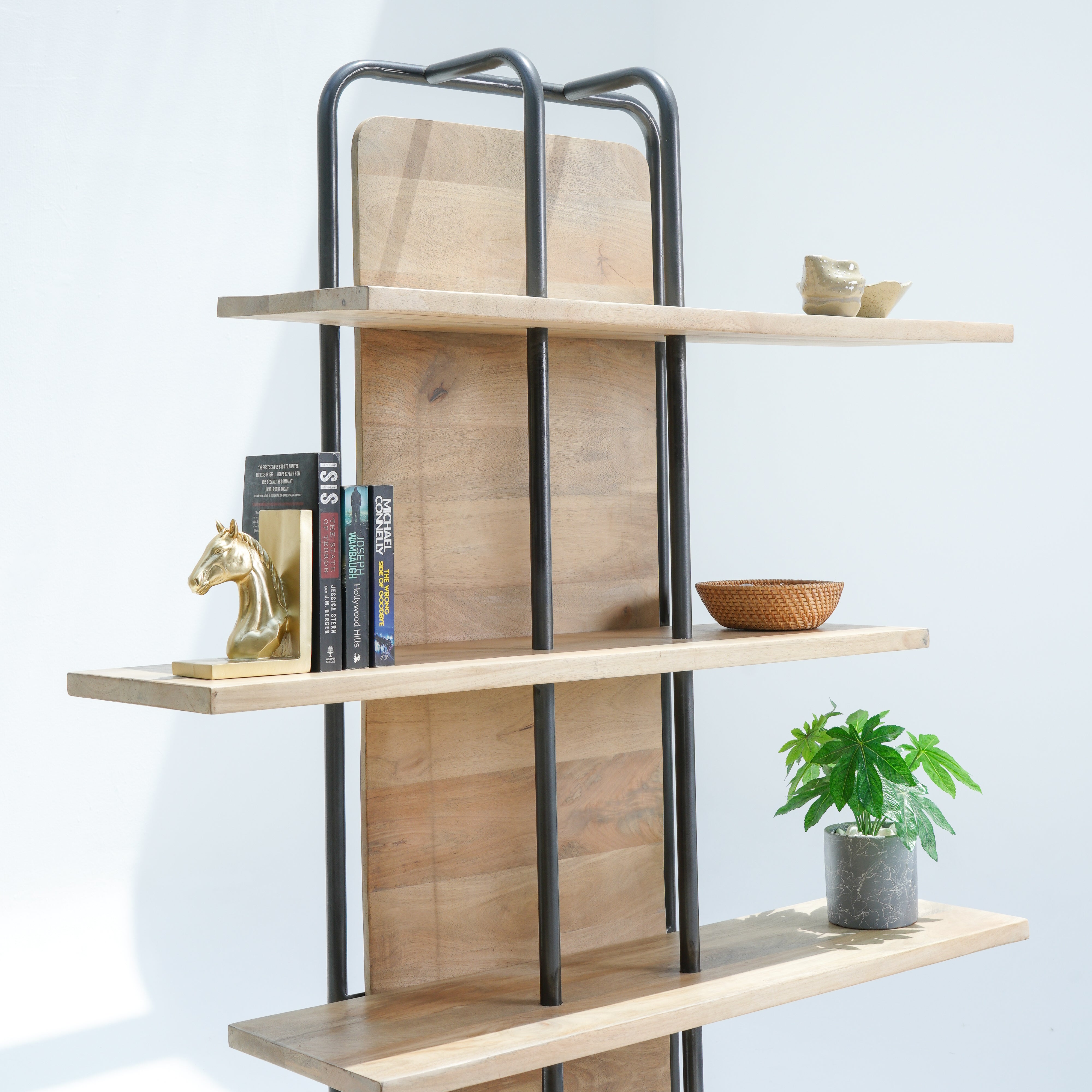 Vienna Wonders Bookshelf