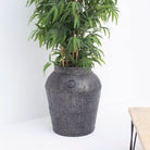 ANTIQUE AURA POT - Art and craft furniture