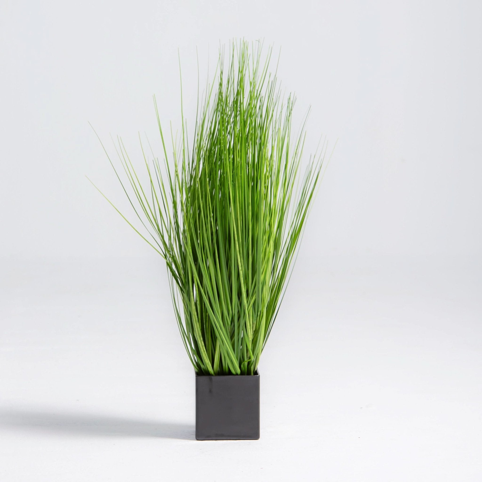 ARTIFICAL GRASS PLANT (70CM) - Art and craft furniture