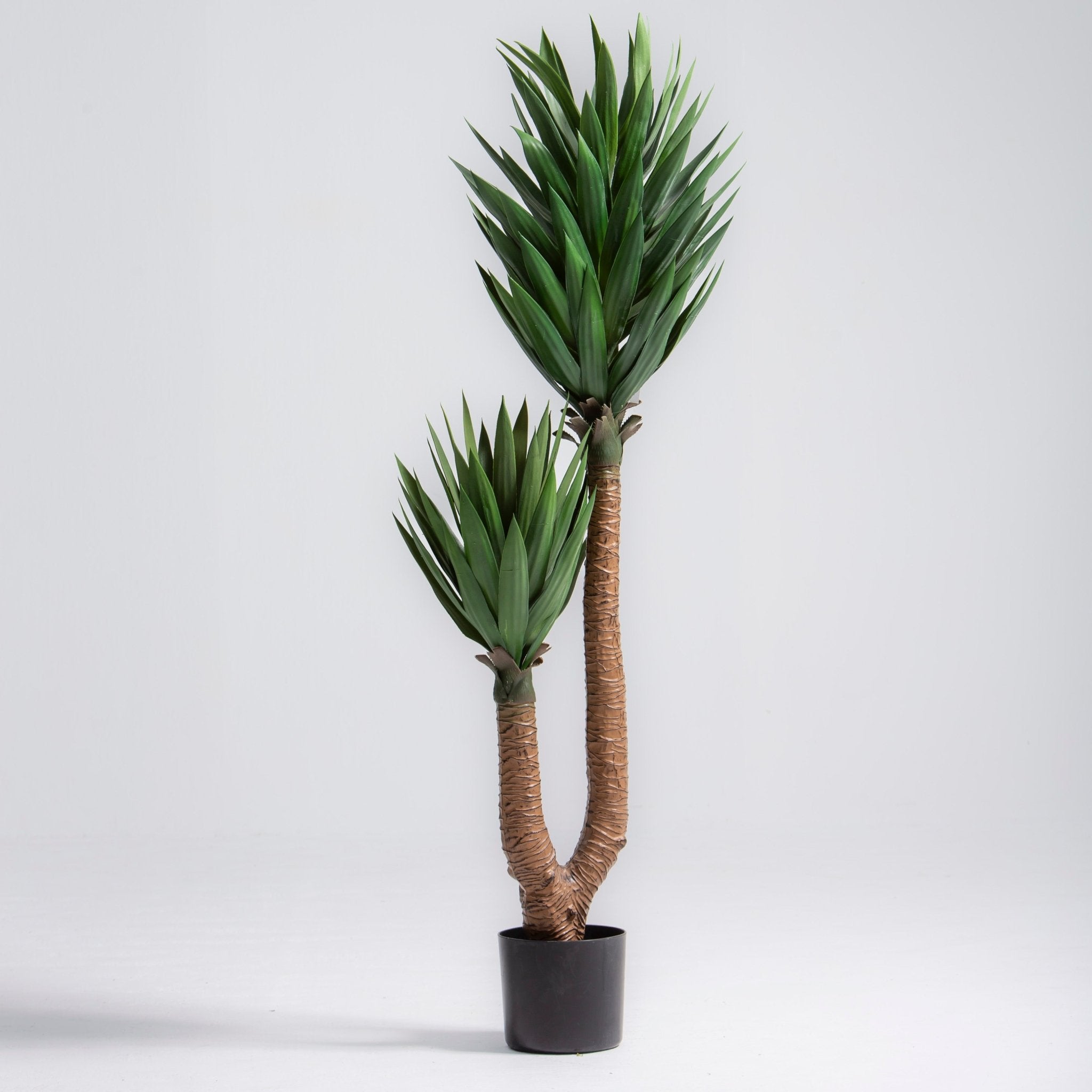 ARTIFICIAL AGAVE PLANT (165CM) - Art and craft furniture