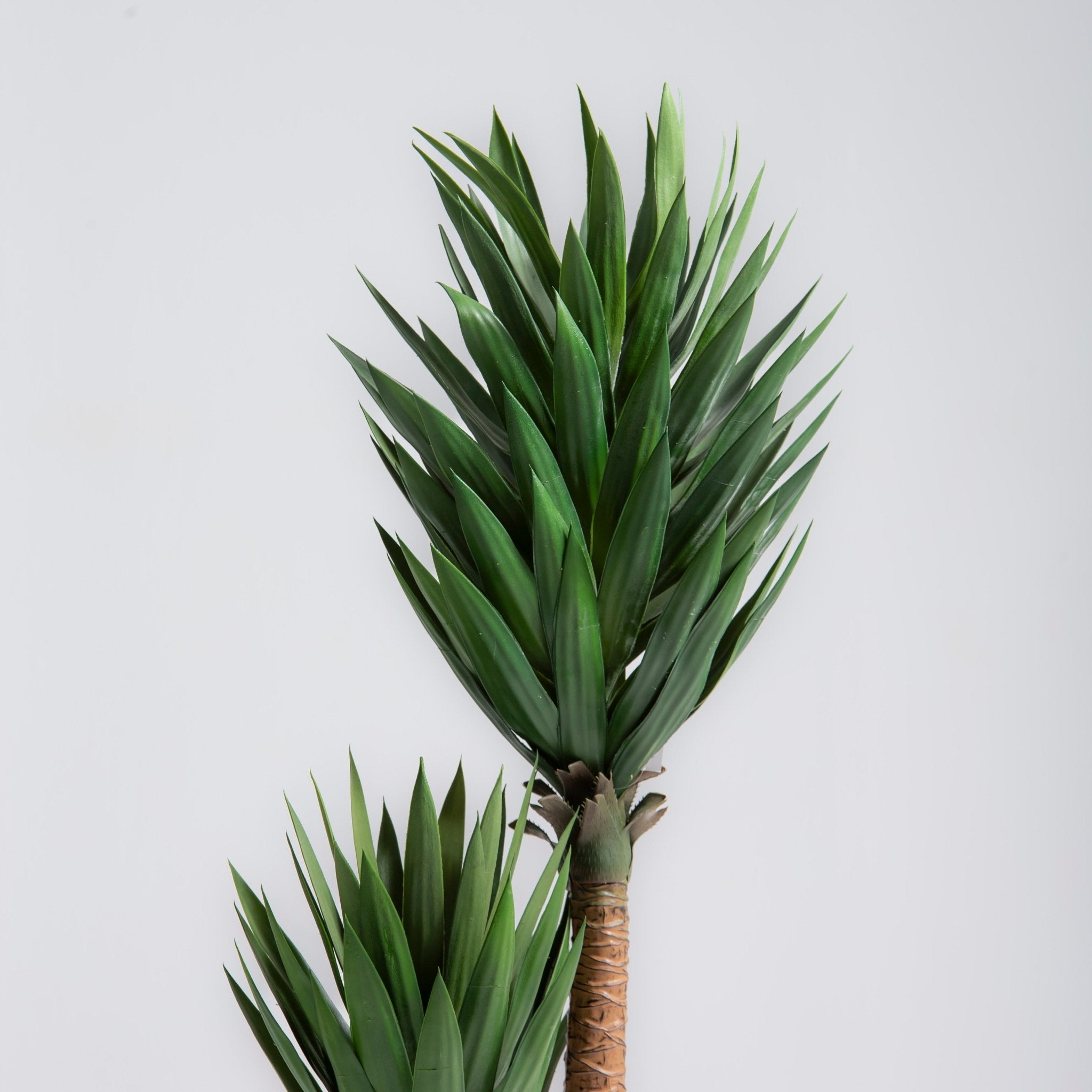 ARTIFICIAL AGAVE PLANT (165CM) - Art and craft furniture