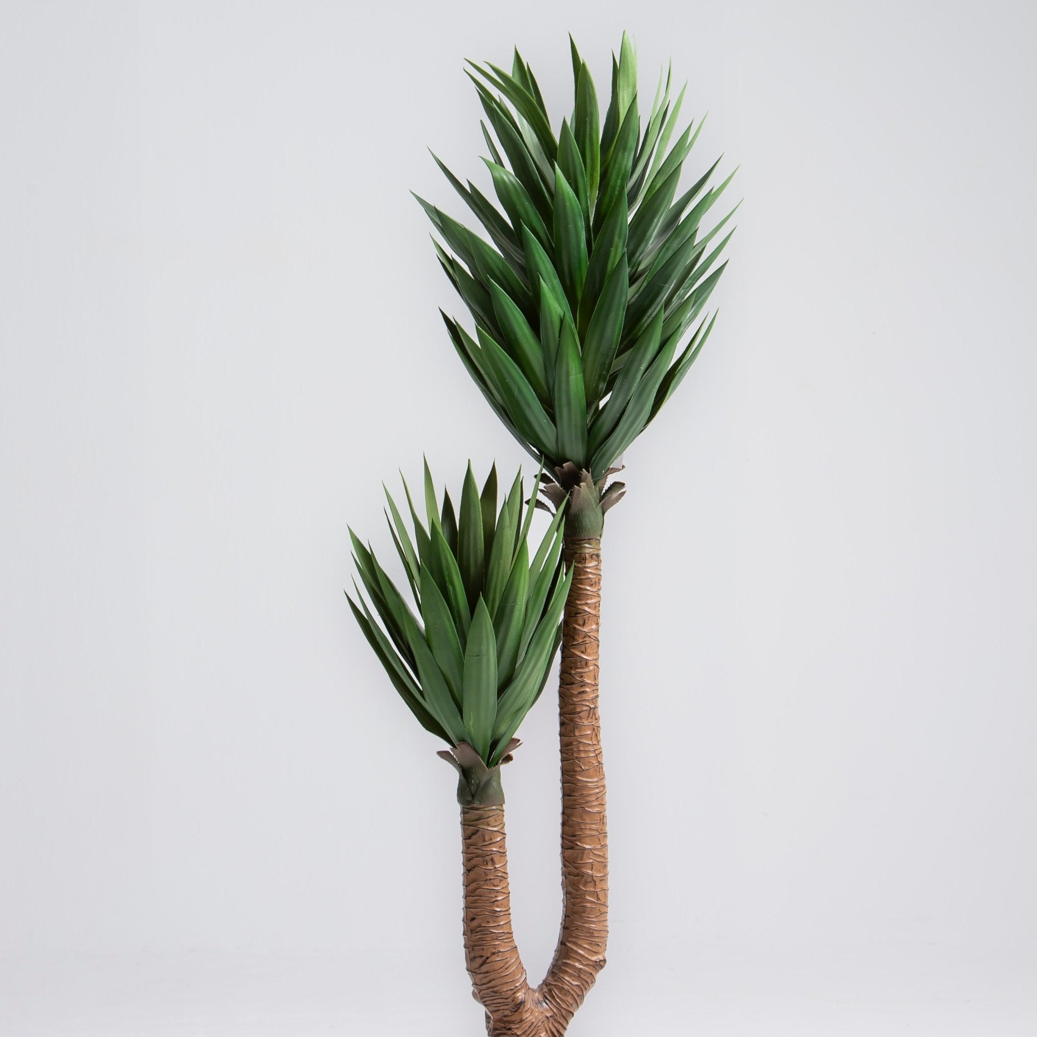 ARTIFICIAL AGAVE PLANT (165CM) - Art and craft furniture