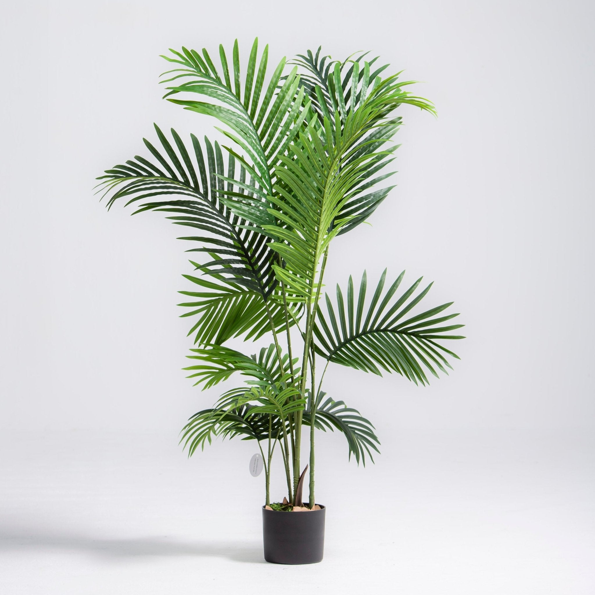 ARTIFICIAL ARECA PALM PLANT (130CM) - Art and craft furniture