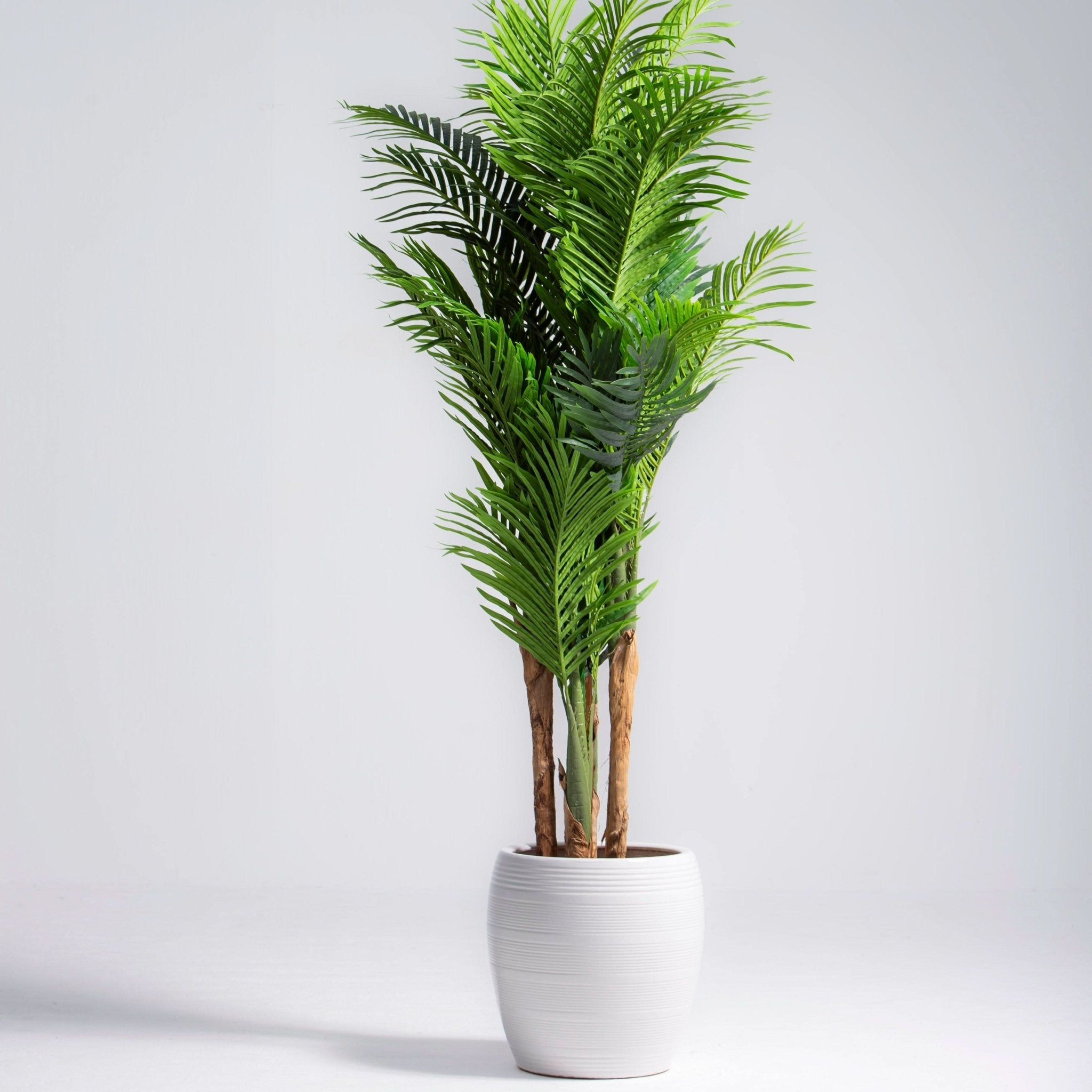 ARTIFICIAL ARECA PLANT (180CM) - Art and craft furniture