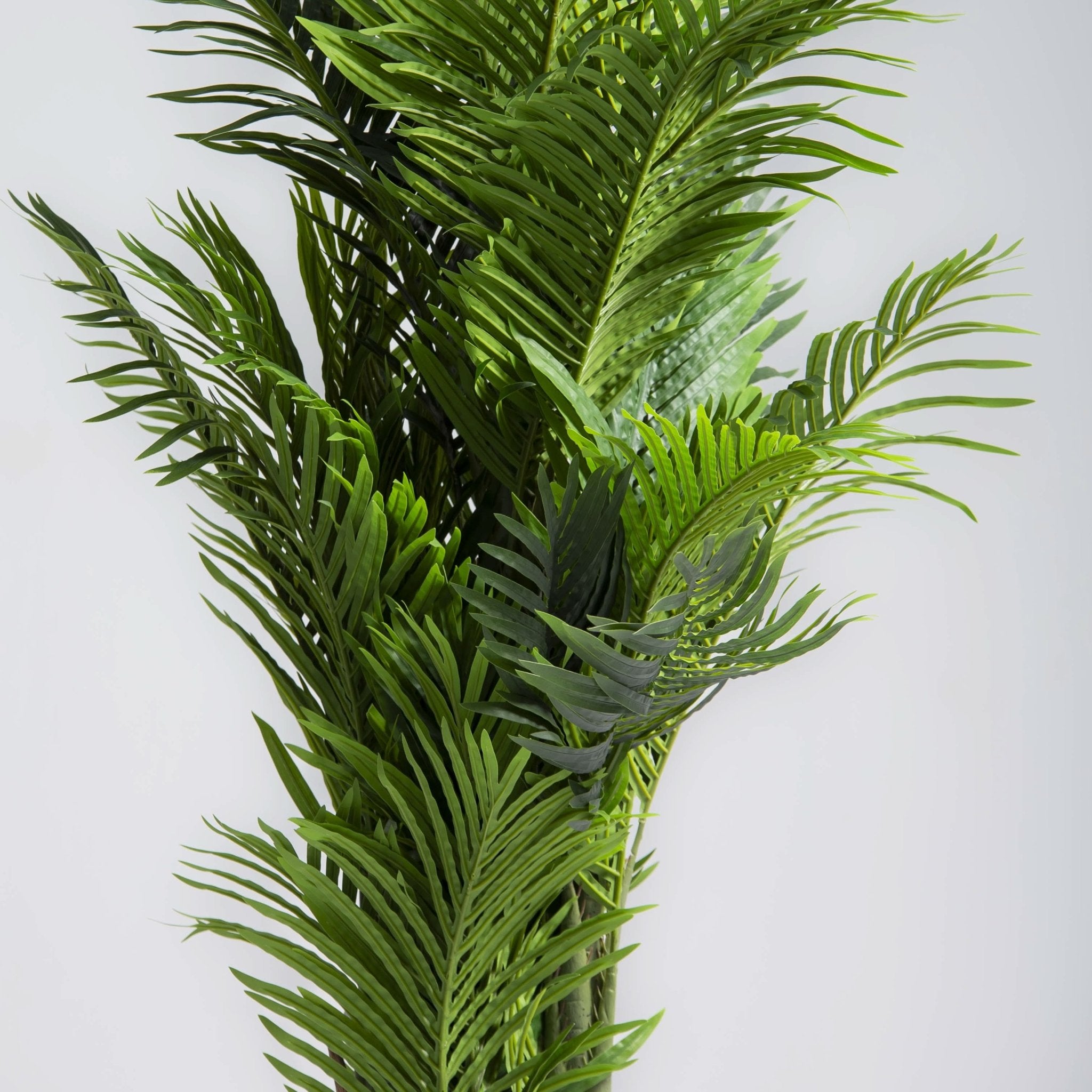 ARTIFICIAL ARECA PLANT (180CM) - Art and craft furniture