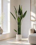ARTIFICIAL BIRD OF PARADISE PLANT BIG - Art and craft furniture