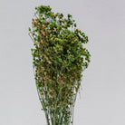 ARTIFICIAL BROOM - Art and craft furniture