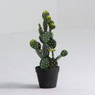 Artificial Bunny Ears Cactus Plant - Art and craft furniture