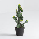 Artificial Bunny Ears Cactus Plant - Art and craft furniture