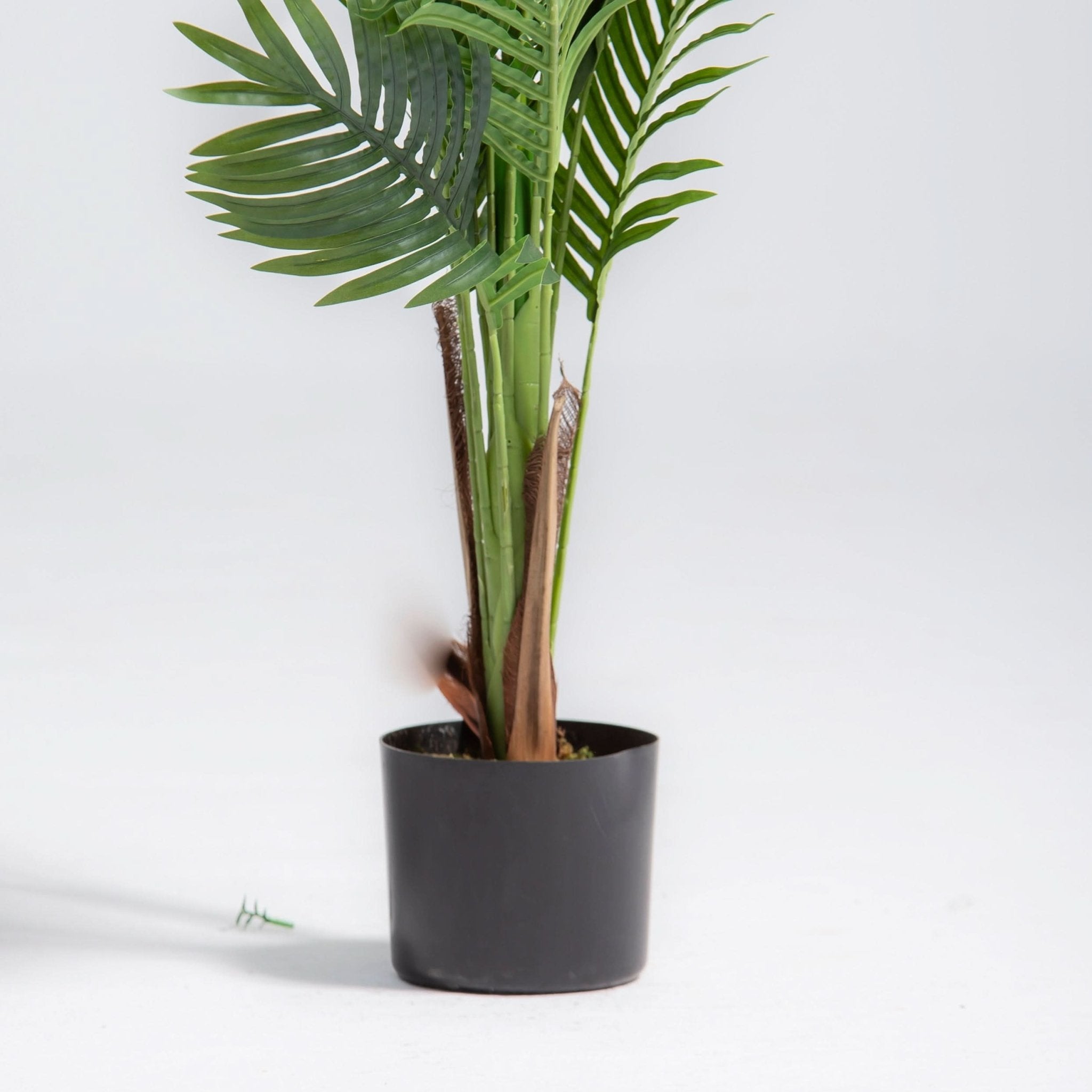 ARTIFICIAL BUTTERFLY PALM PLANT (90CM) - Art and craft furniture