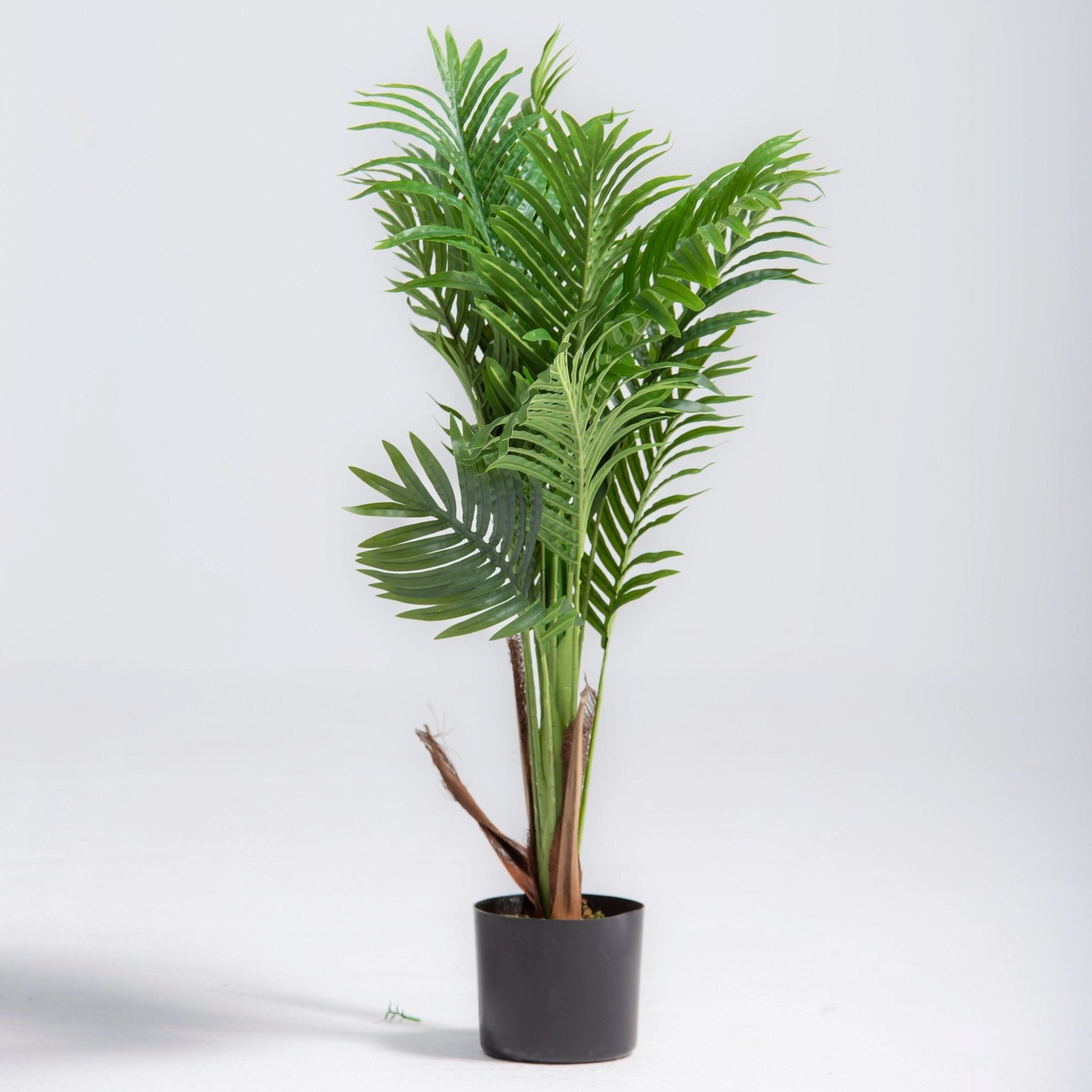 ARTIFICIAL BUTTERFLY PALM PLANT (90CM) - Art and craft furniture