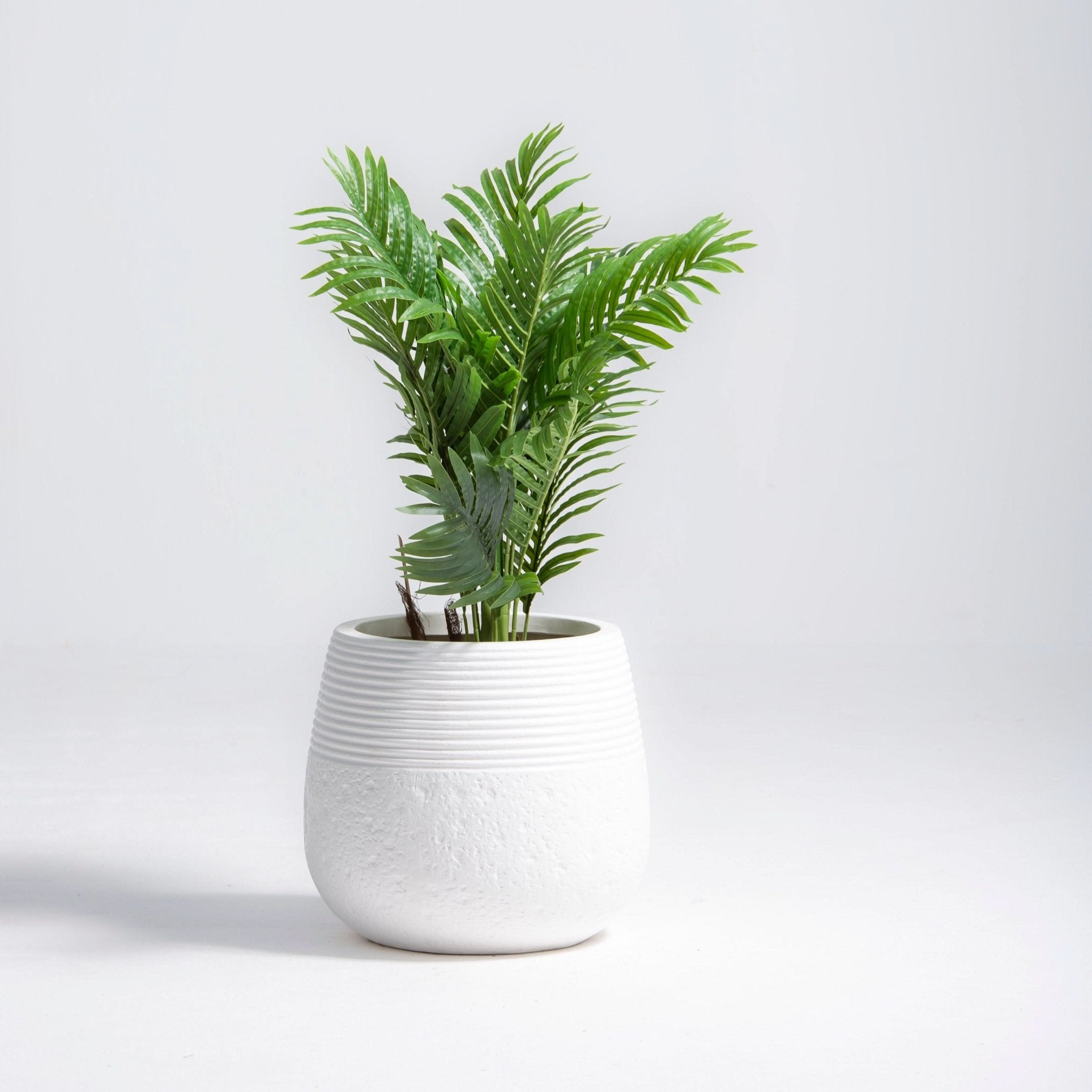 ARTIFICIAL BUTTERFLY PALM PLANT (90CM) - Art and craft furniture