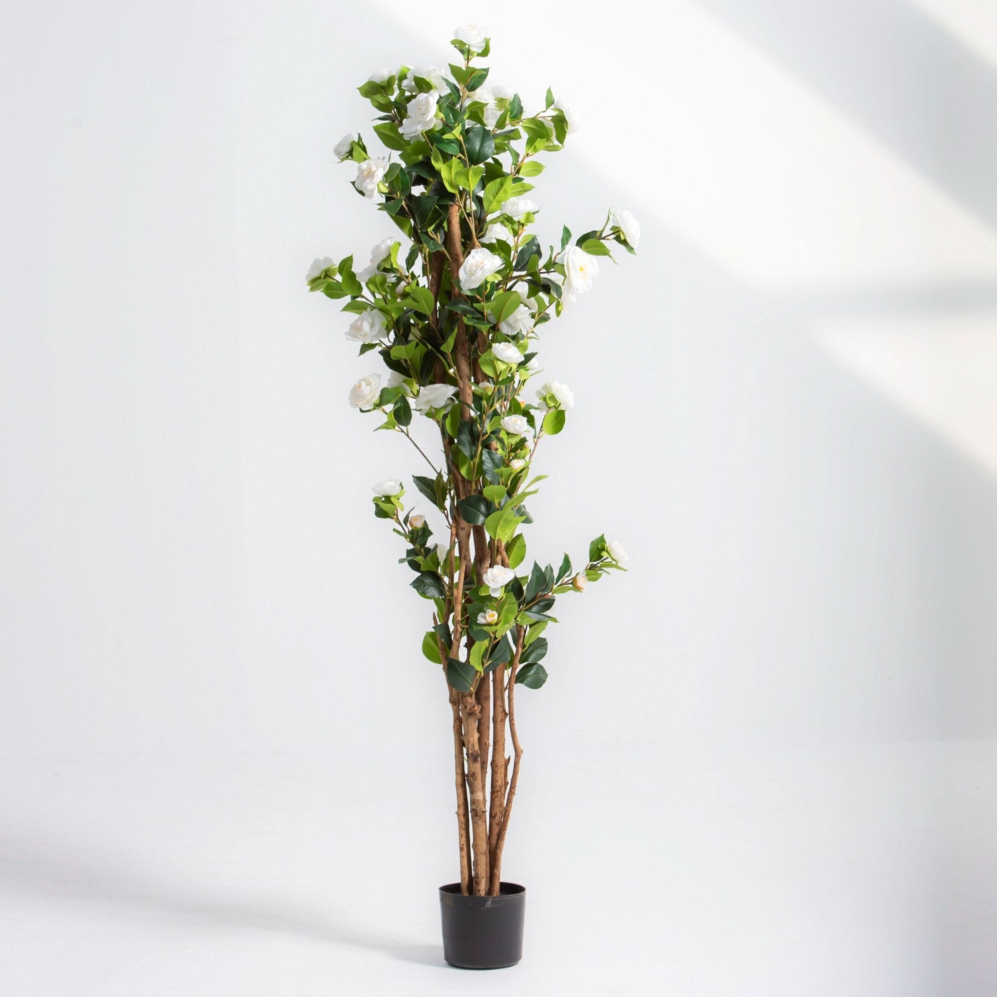 ARTIFICIAL CAMELLIA PLANT (180CM) - Art and craft furniture