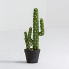 Artificial Classic Cactus Plant - Art and craft furniture