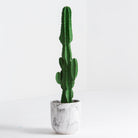 Artificial Classic Cactus Slander Plant - Art and craft furniture