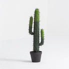 Artificial Classic Cactus Small Plant - Art and craft furniture