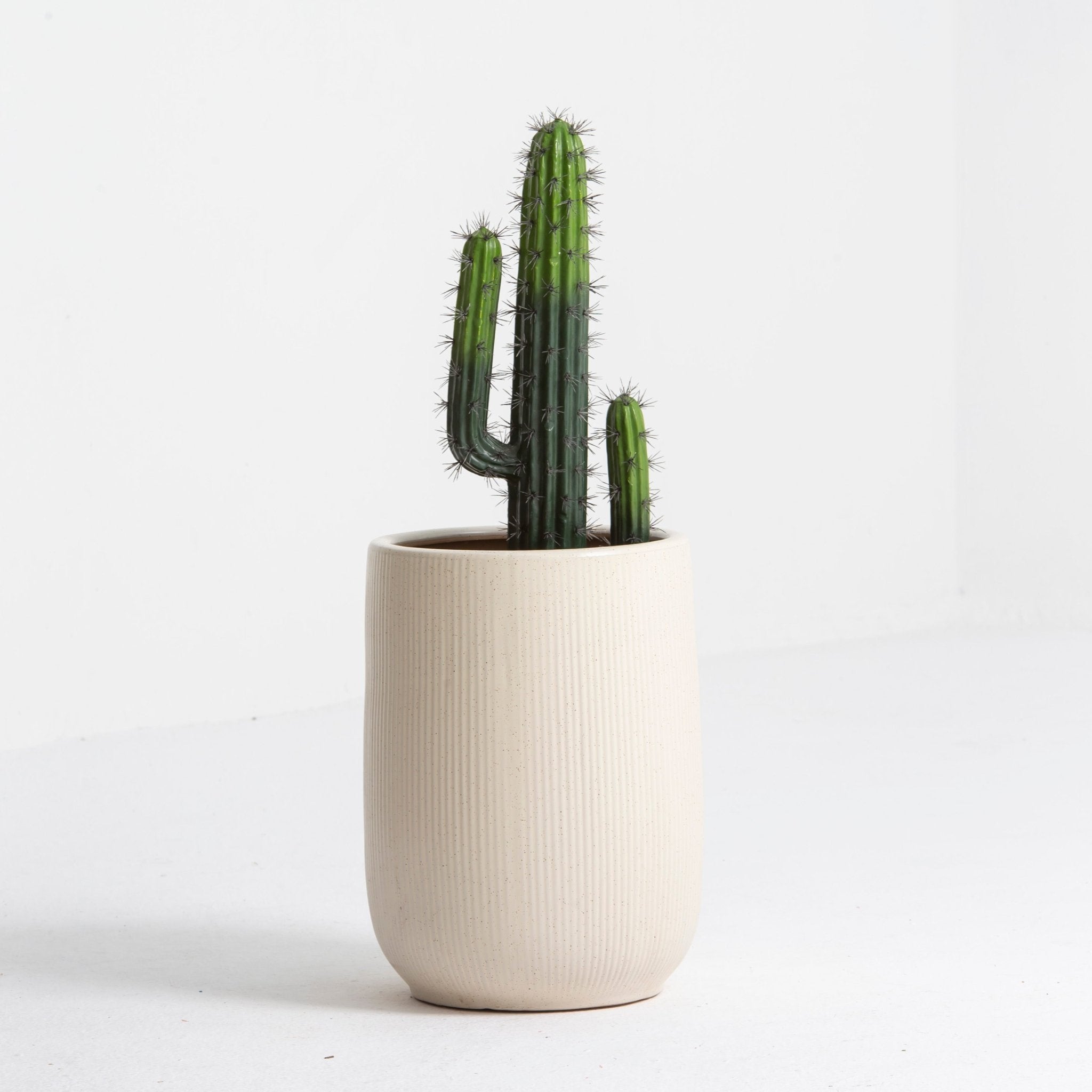 Artificial Classic Cactus Small Plant - Art and craft furniture