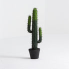 Artificial Classic Cactus Small Plant - Art and craft furniture