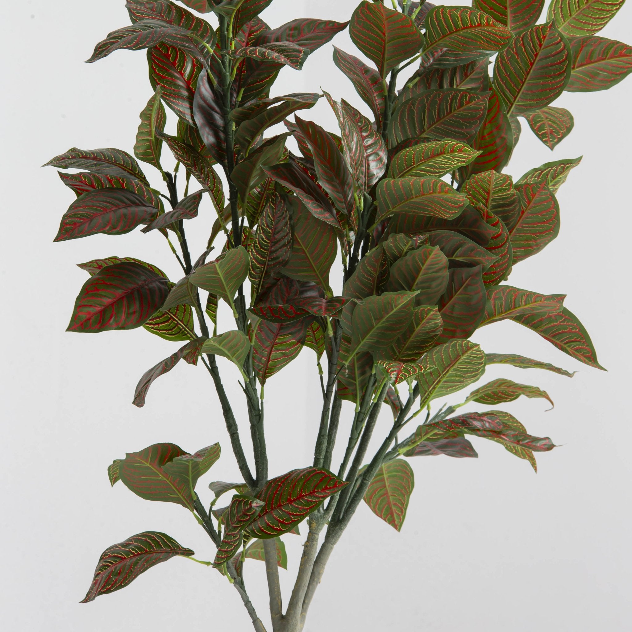 Artificial Classic Cronton Sapling Plant - Art and craft furniture