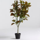 Artificial Classic Cronton Sapling Plant - Art and craft furniture