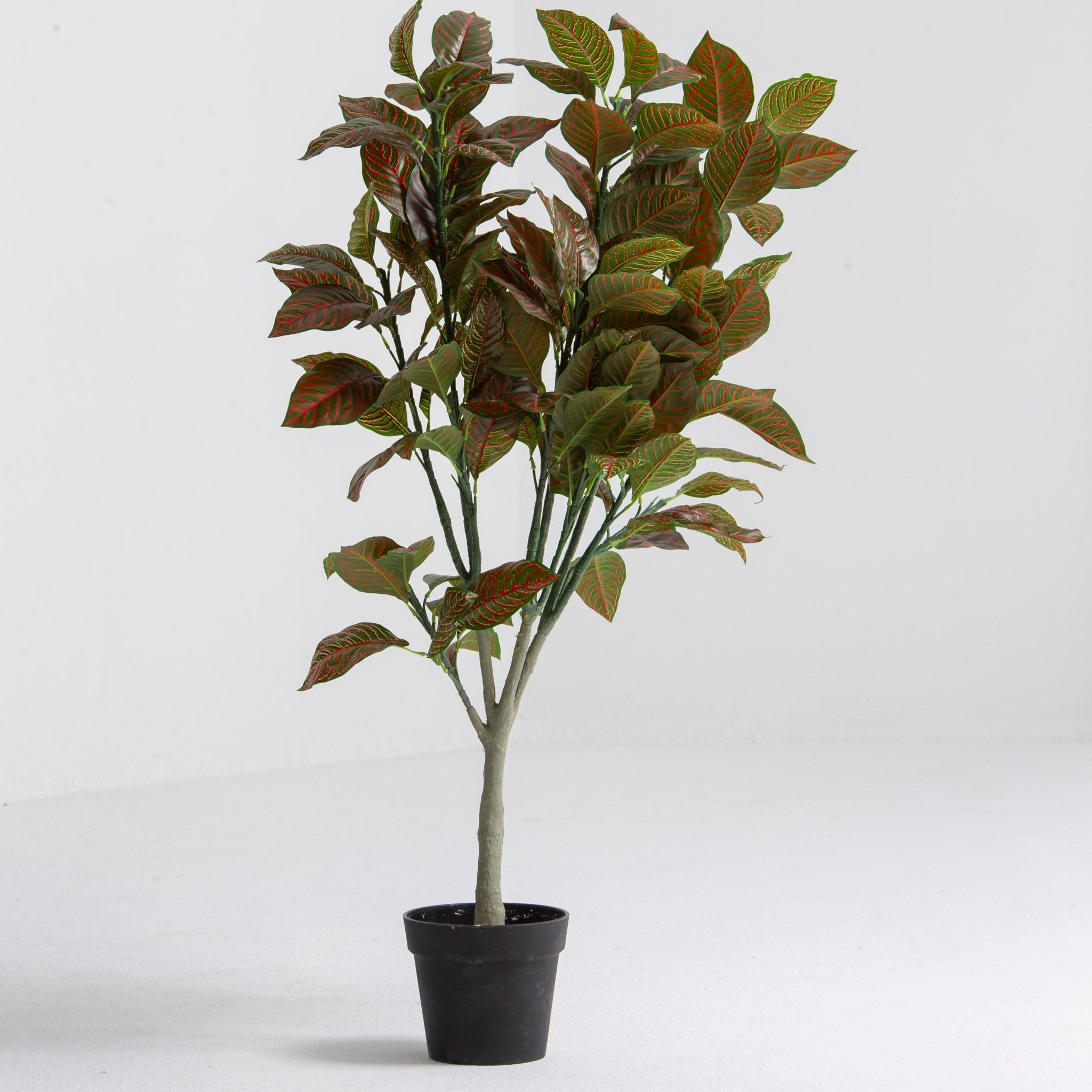 Artificial Classic Cronton Sapling Plant - Art and craft furniture