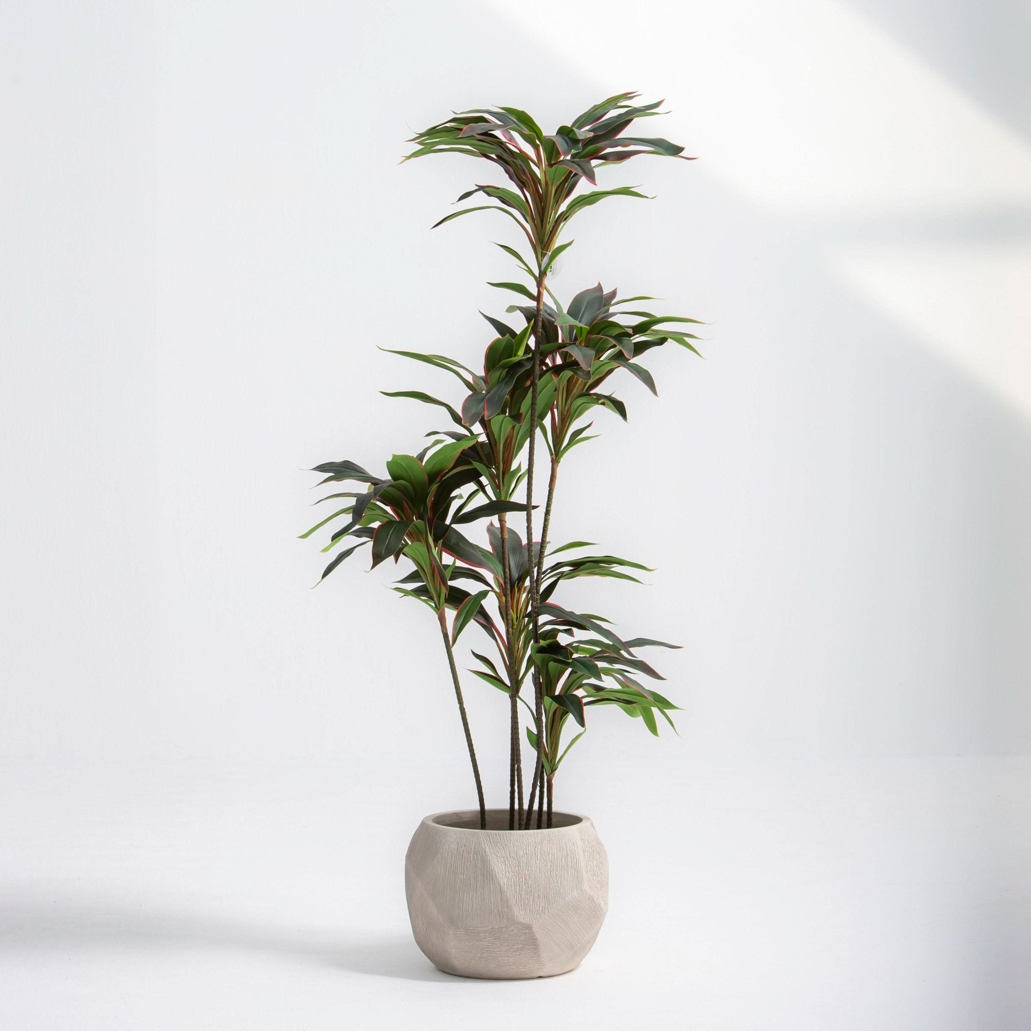 ARTIFICIAL CORDYLINE PLANT (153CM) - Art and craft furniture