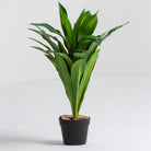 Artificial Crown Stem Plant - Art and craft furniture