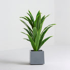 Artificial Cube Aloe Plant - Art and craft furniture