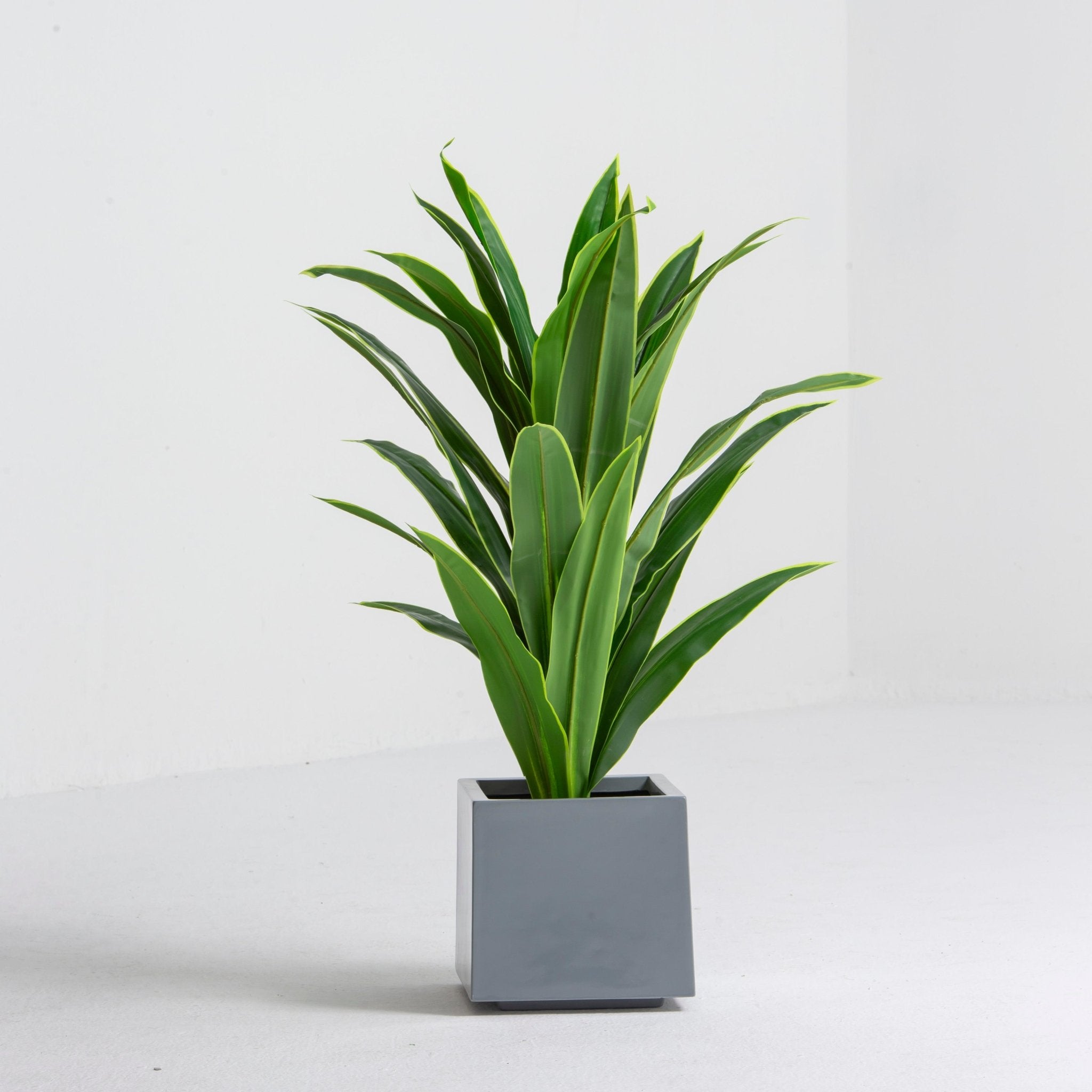 Artificial Cube Aloe Plant - Art and craft furniture