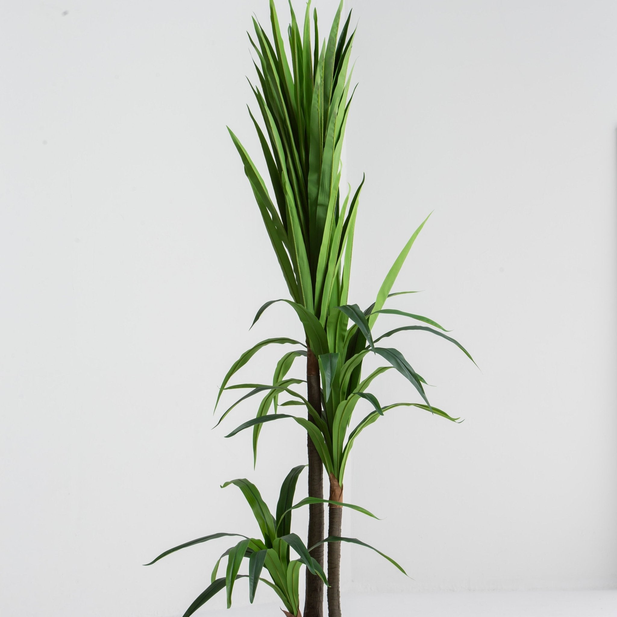 ARTIFICIAL DRACAENA GREEN PLANT (190CM) - Art and craft furniture