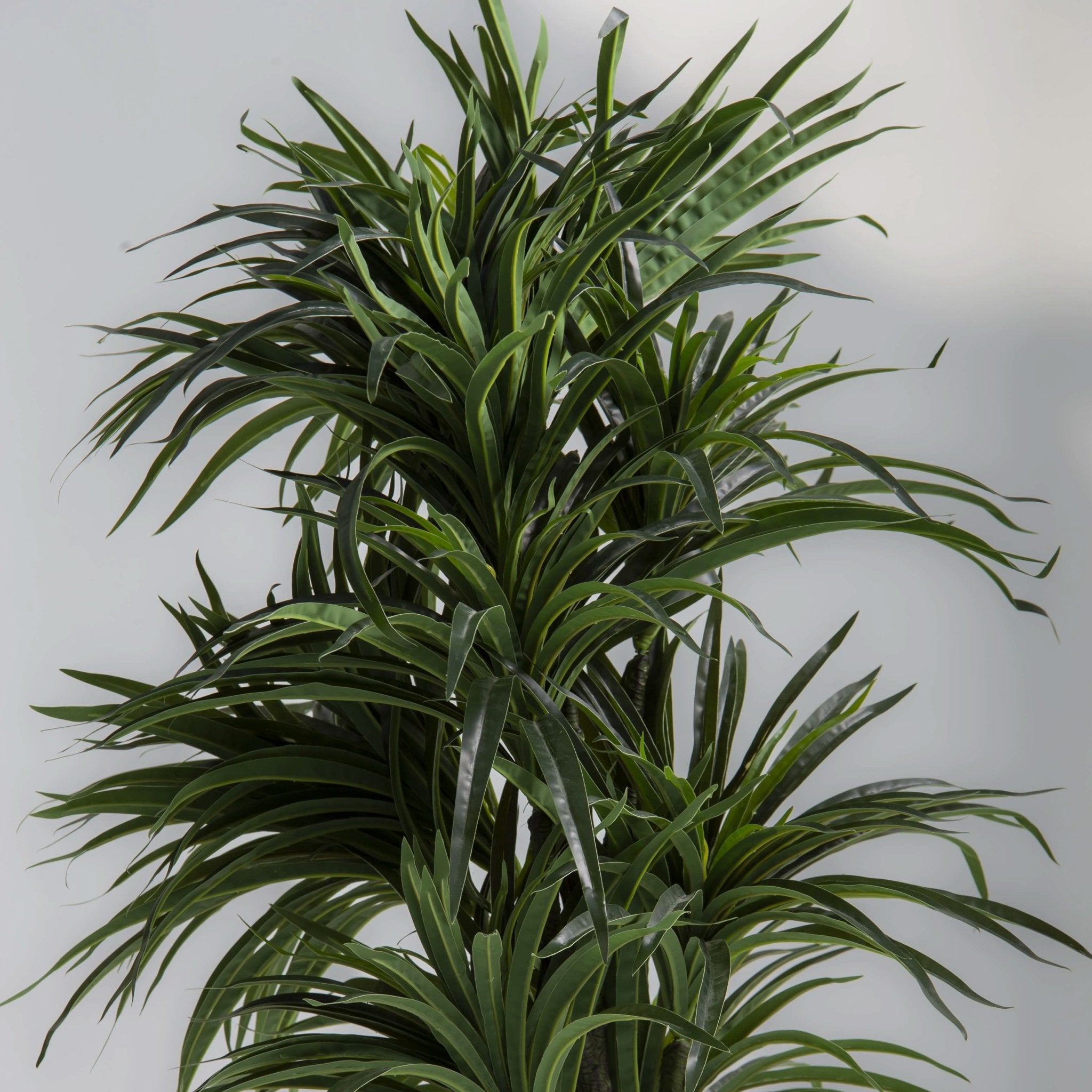 ARTIFICIAL DRACAENA LUSH PLANT (120CM) - Art and craft furniture