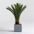 Artificial Fan Leaf Plant - Art and craft furniture
