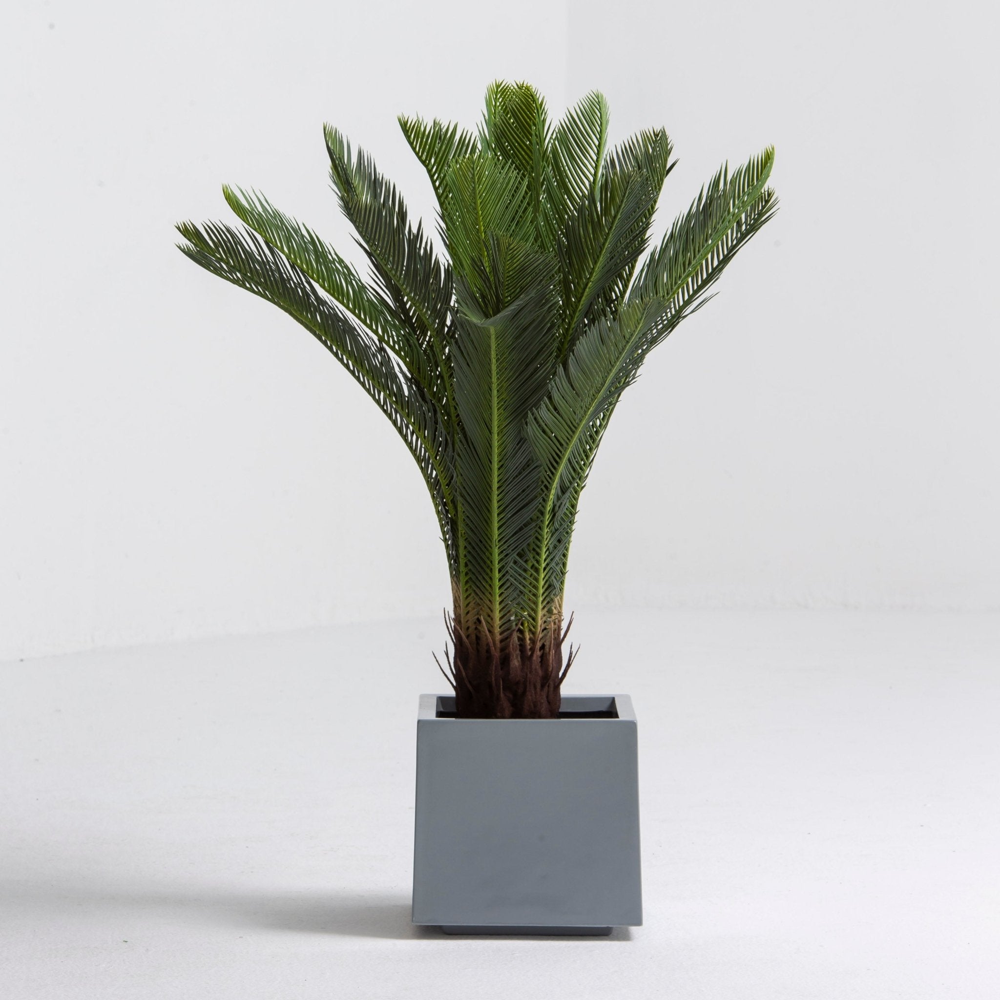 Artificial Fan Leaf Plant - Art and craft furniture