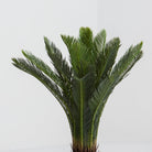 Artificial Fan Leaf Plant - Art and craft furniture