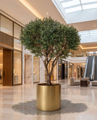 Artificial Fiber Trunk Olive Tree and Golden Pot - Art and craft furniture
