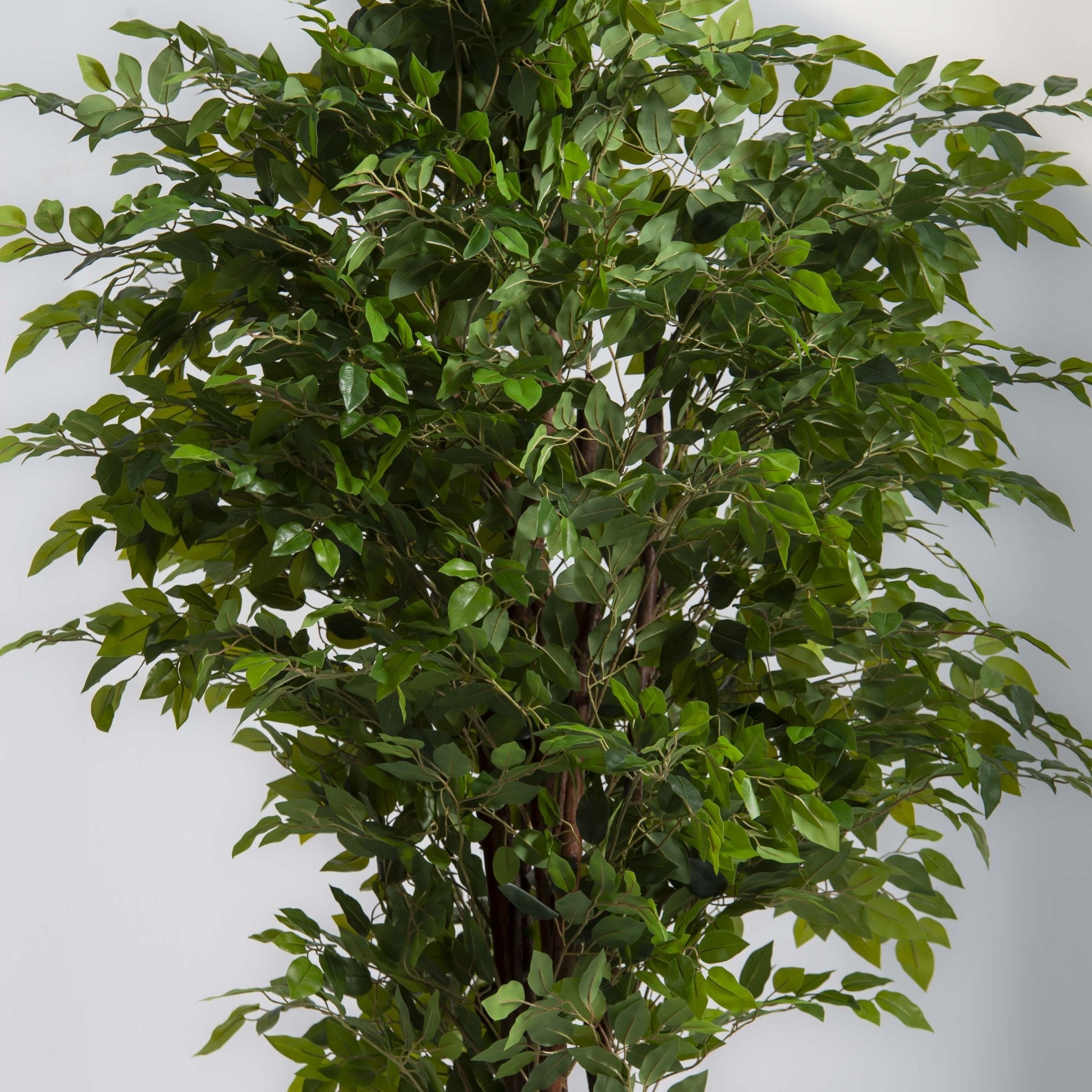 ARTIFICIAL FICUS BENJAMINA PLANT - Art and craft furniture