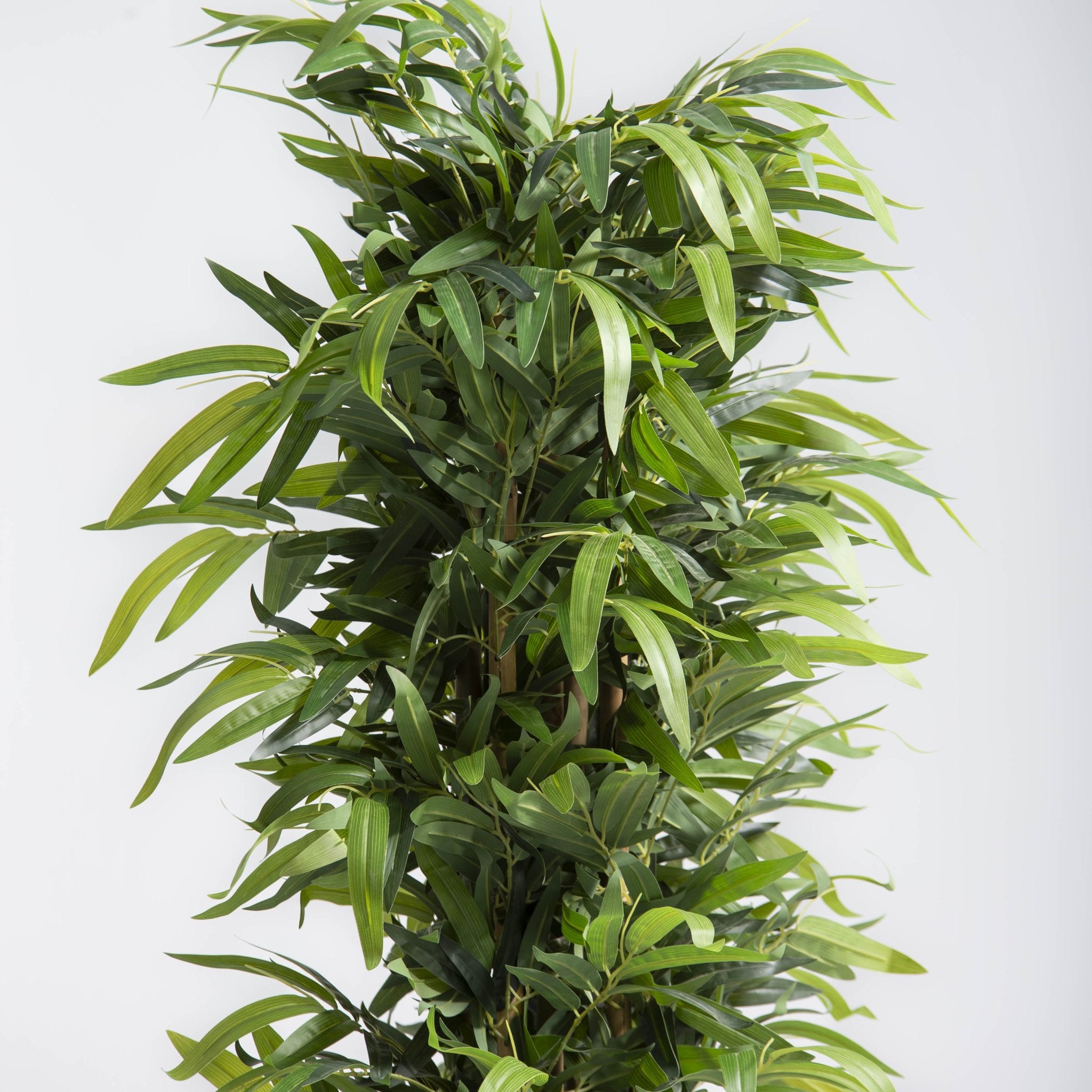 ARTIFICIAL FICUS PLANT (180CM) - Art and craft furniture