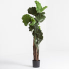 ARTIFICIAL FIDDLE LEAF FIG PLANT (150) - Art and craft furniture