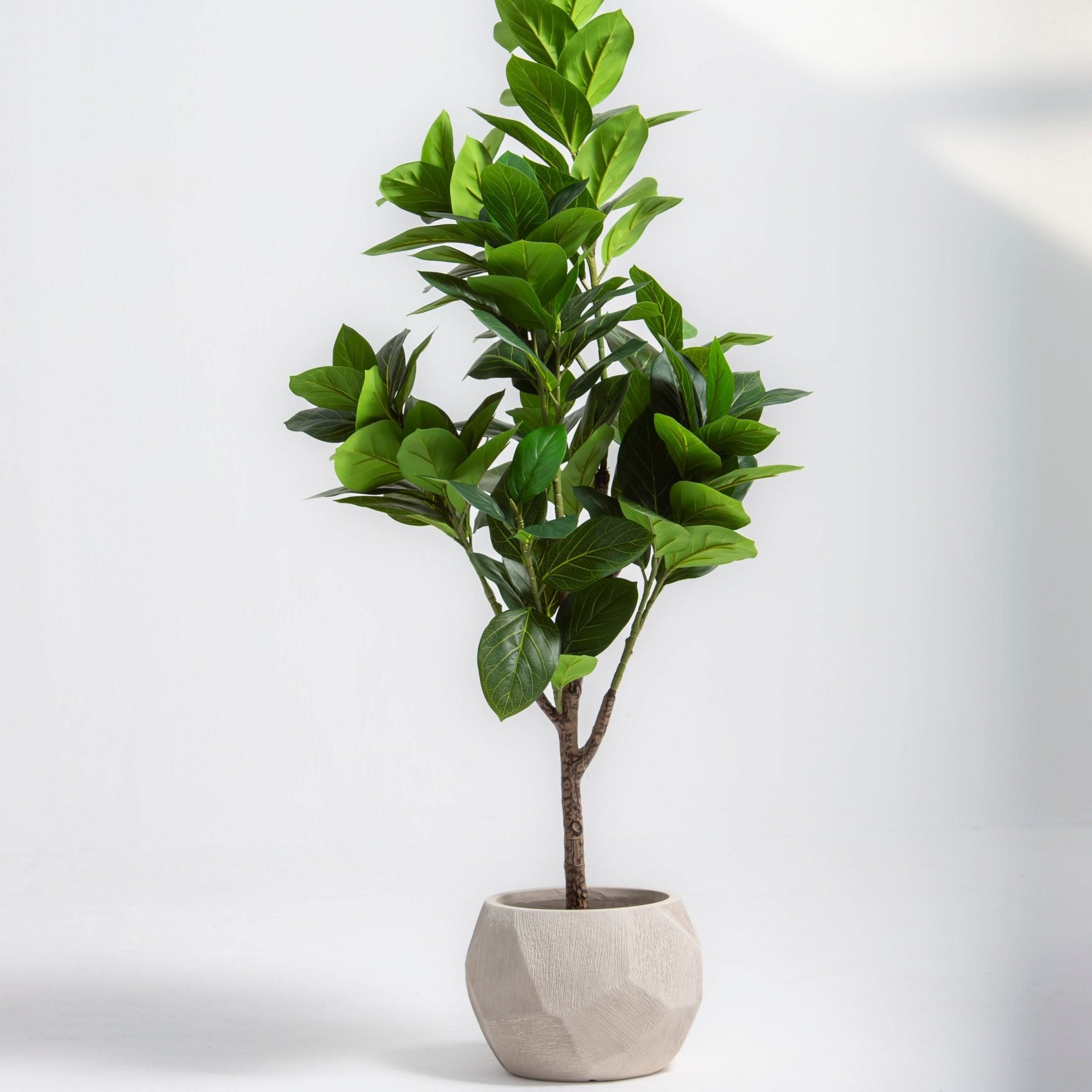 ARTIFICIAL FIDDLE LEAF FIG PLANT (167CM) - Art and craft furniture