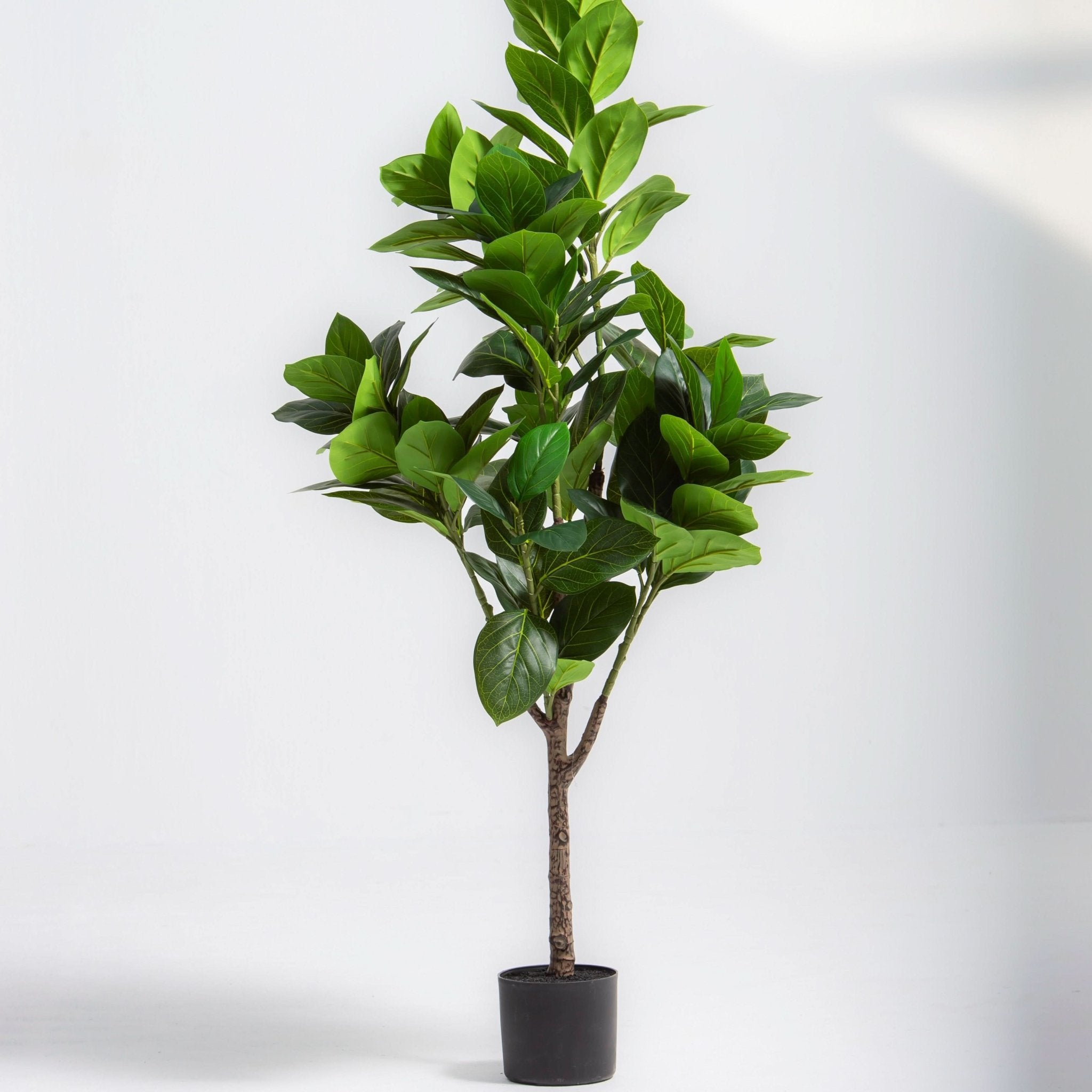 ARTIFICIAL FIDDLE LEAF FIG PLANT (167CM) - Art and craft furniture