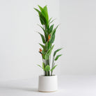Artificial Flame Potted Palm Plant - Art and craft furniture