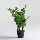 Artificial Jade Stalk Plant - Art and craft furniture
