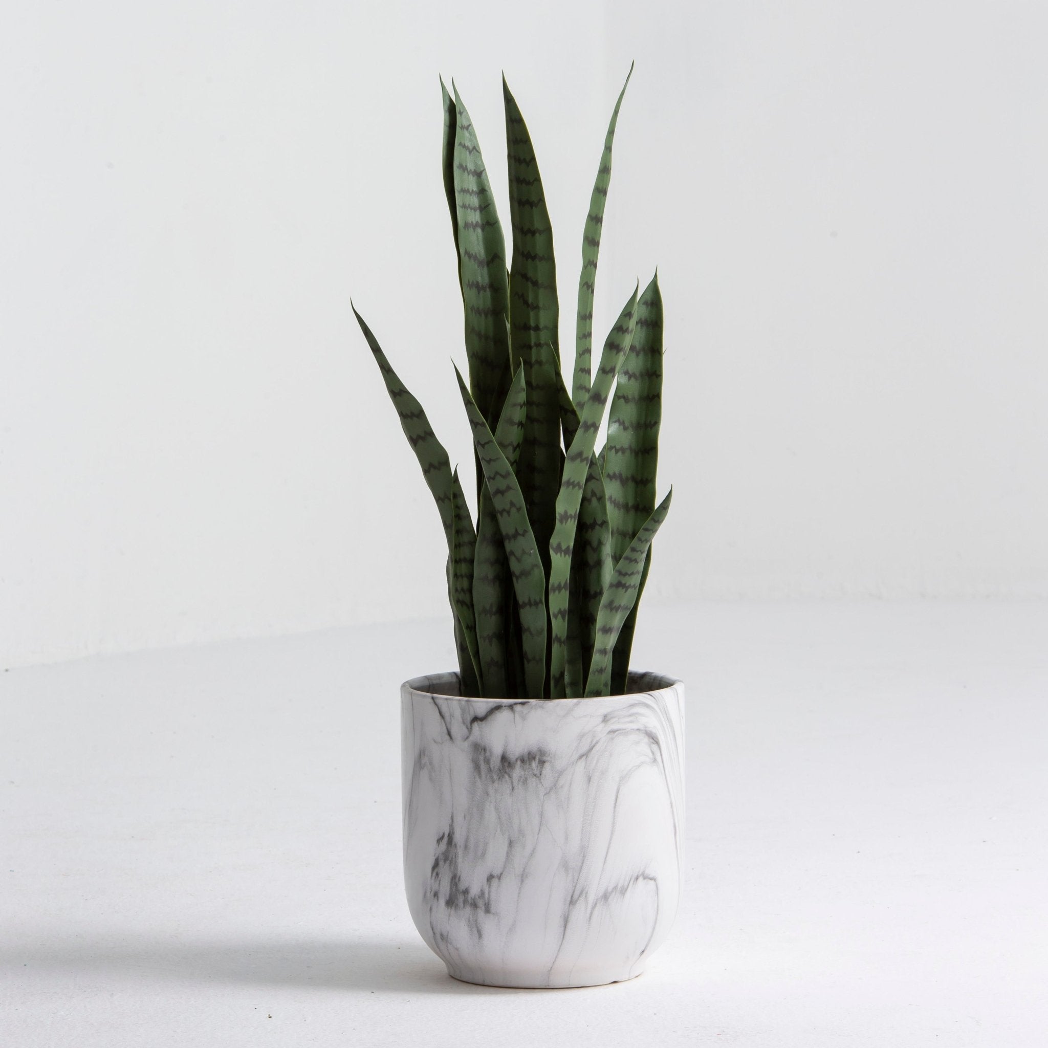 Artificial Laurentii Snake Small Plant - Art and craft furniture