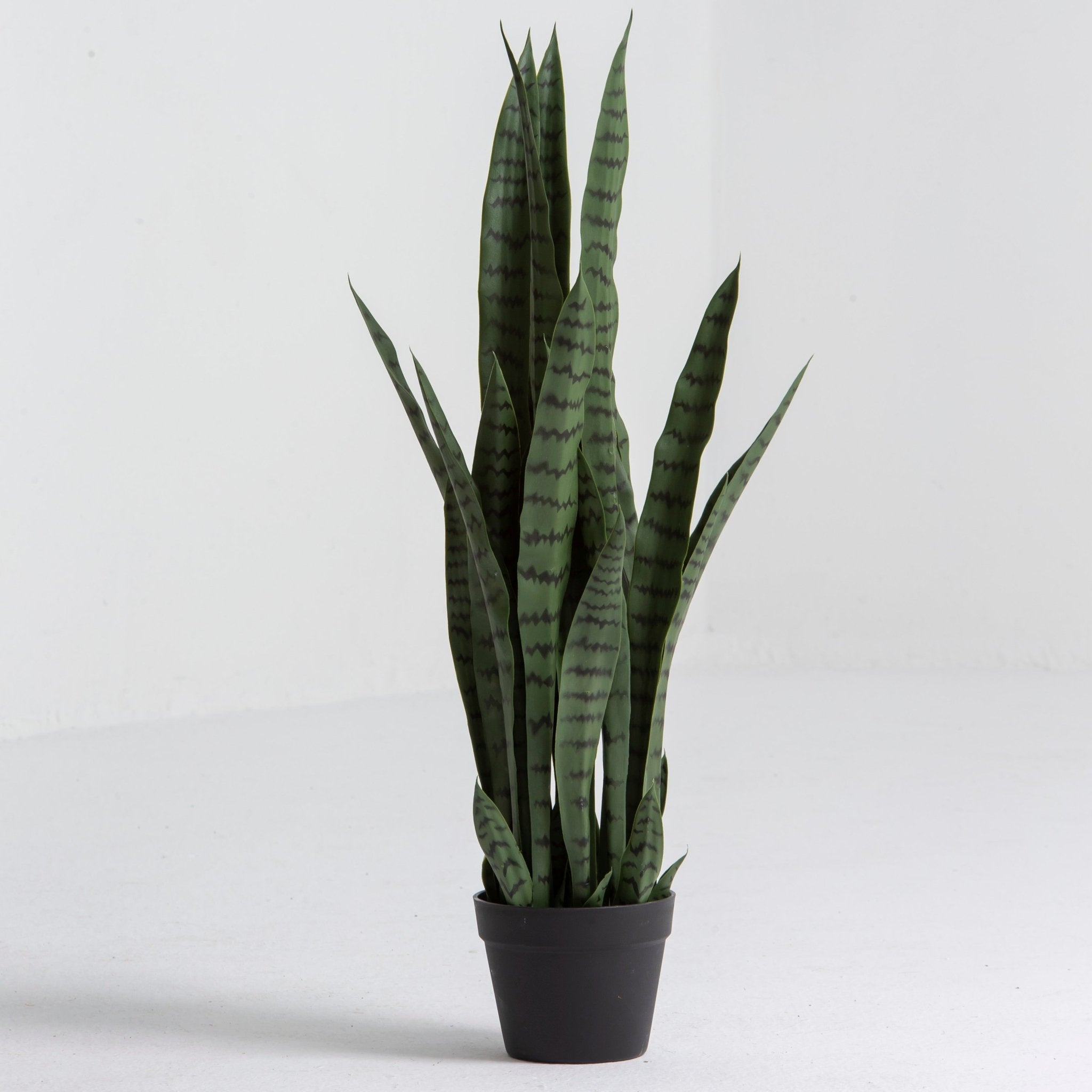 Artificial Laurentii Snake Small Plant - Art and craft furniture